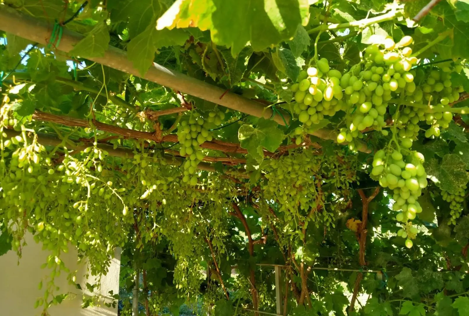 Casa Donna Razietta - Natura E Relax شيكلي